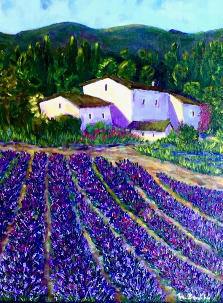 Lavendel in der Provence