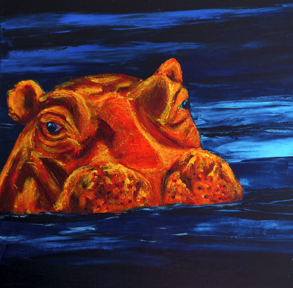 Hippo im Sonnenuntergang